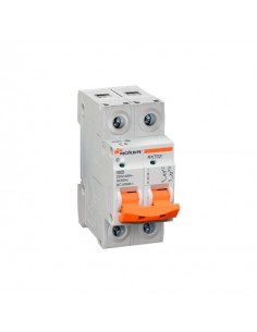 Roker Rxt0232  Termica Din Bip  32a. 2